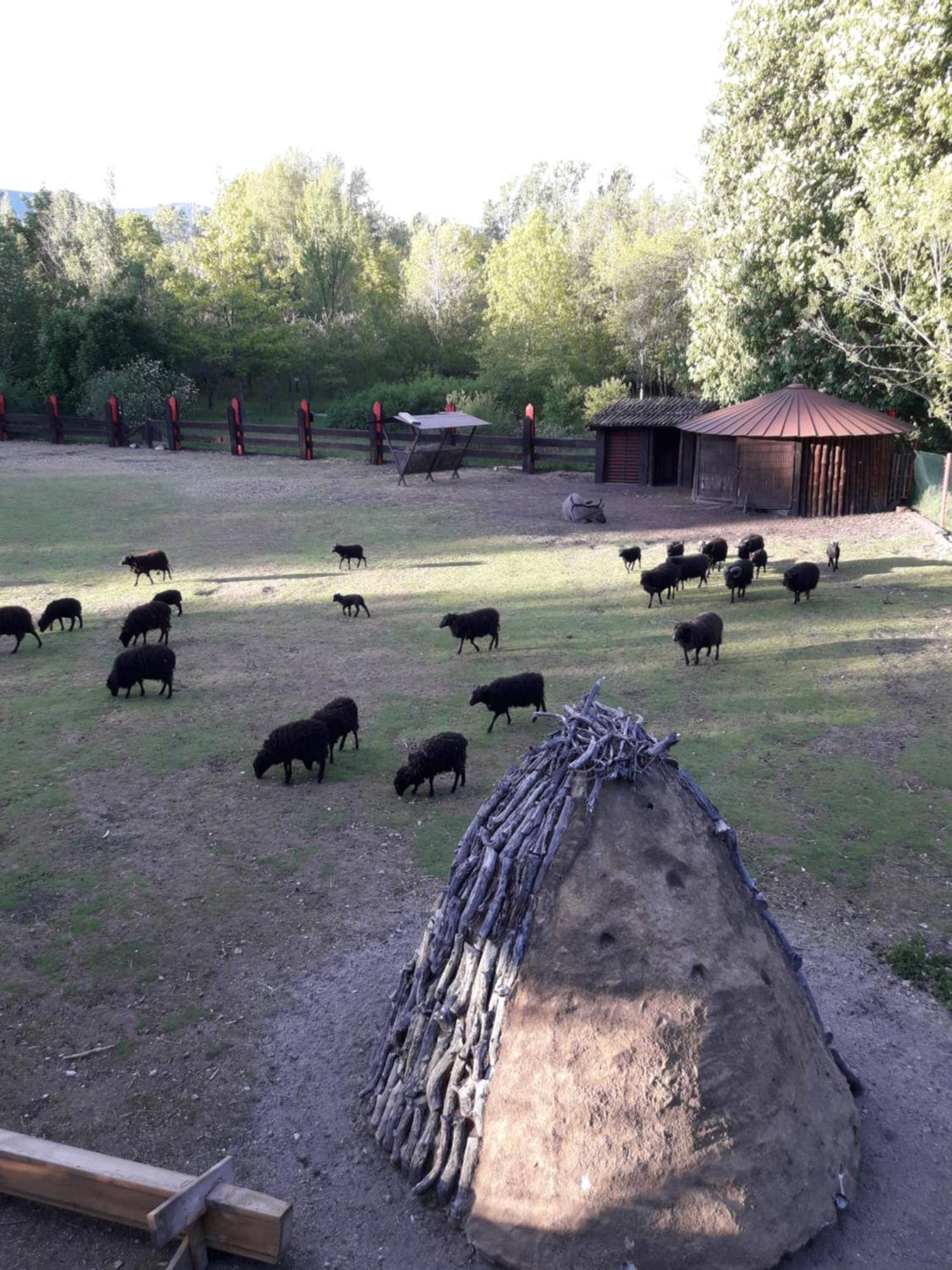 拉斯卡弗里亚 Zaguan旅馆 外观 照片